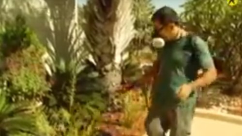 הדברה אקולוגית – תגידו שלום יפה למזיקים!